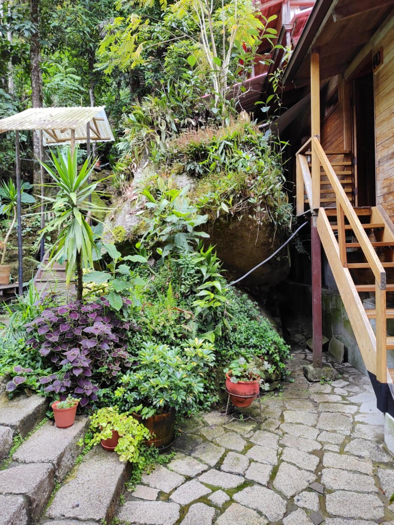Tree House Lodge Machu Picchu Eksteriør billede